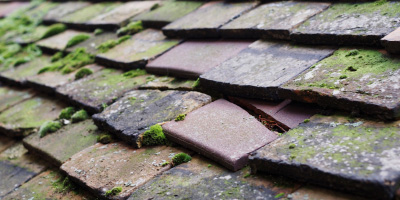 Gabalfa roof repair costs